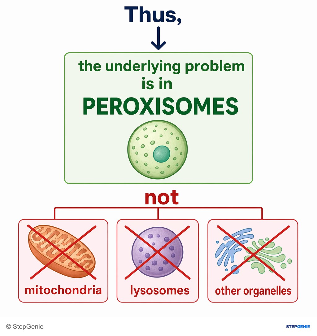 Reasoning step 7: Thus, the underlying problem is in peroxisomes, not mitochondria, lysosomes, or other organelles.