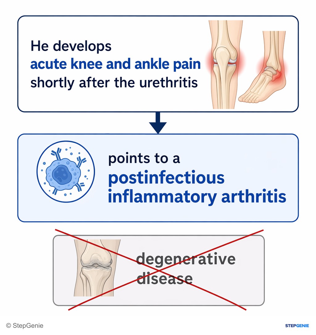 Reasoning step 2: He develops acute knee and ankle pain shortly after the urethritis → points to a postinfectious inflammatory arthritis rather than degenerative…
