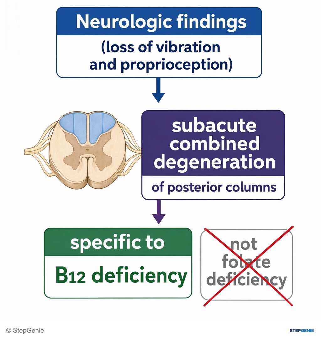 Reasoning step 2: Neurologic findings (loss of vibration and proprioception) indicate subacute combined degeneration of posterior columns, which is specific to B12…