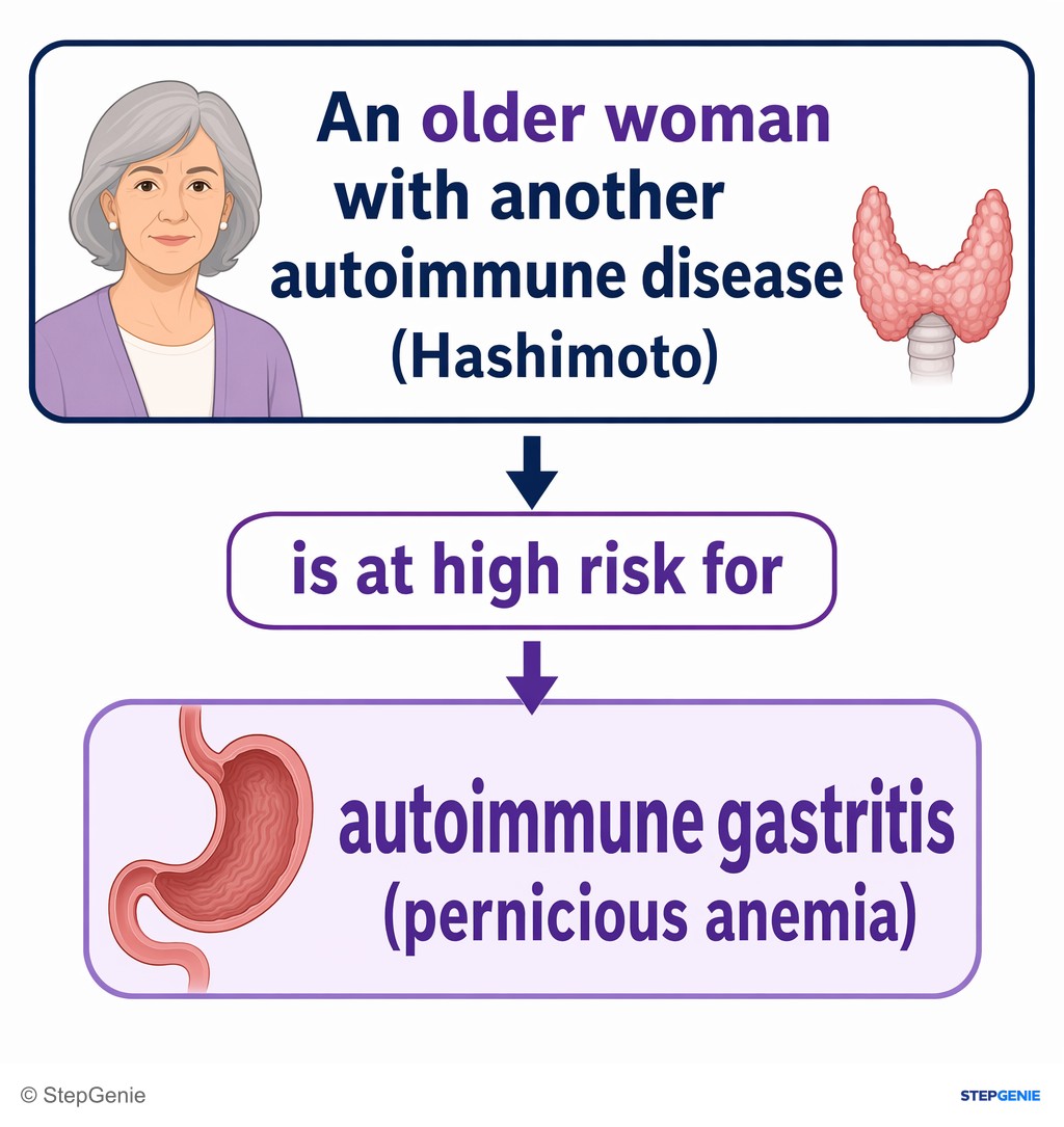 Reasoning step 3: An older woman with another autoimmune disease (Hashimoto) is at high risk for autoimmune gastritis (pernicious anemia).