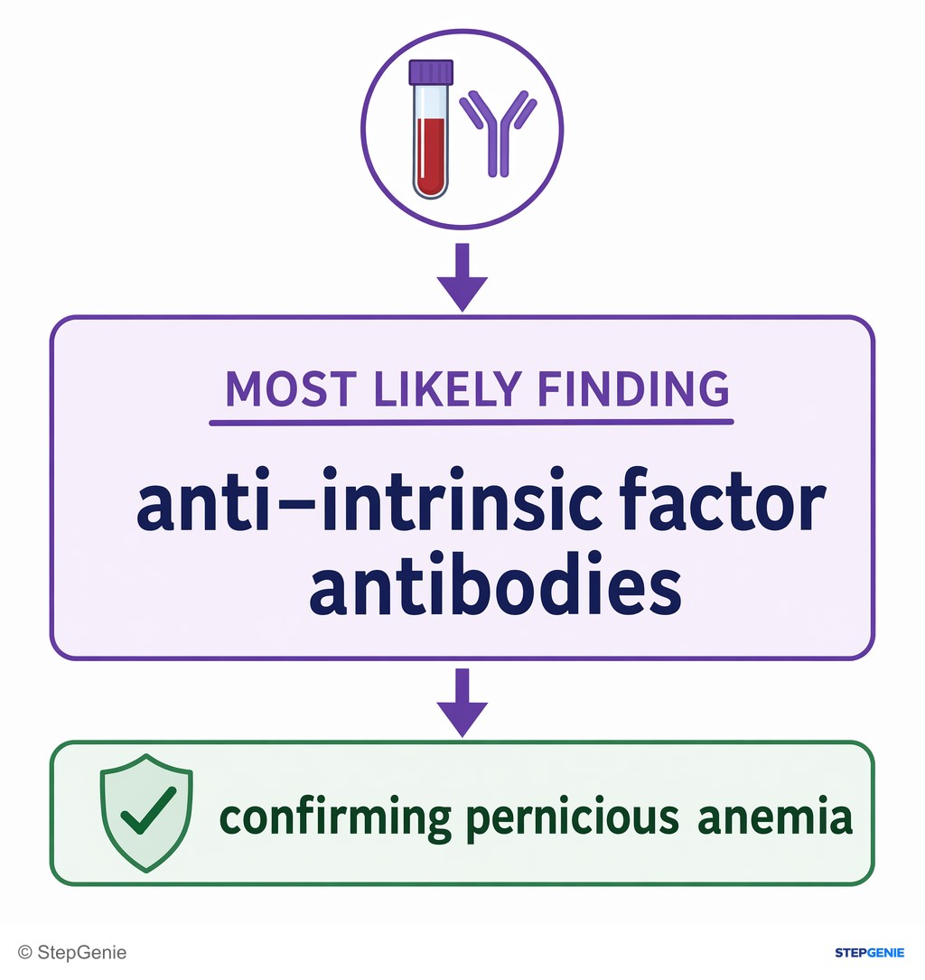 Reasoning step 6: Therefore, the most likely finding is anti–intrinsic factor antibodies confirming pernicious anemia.