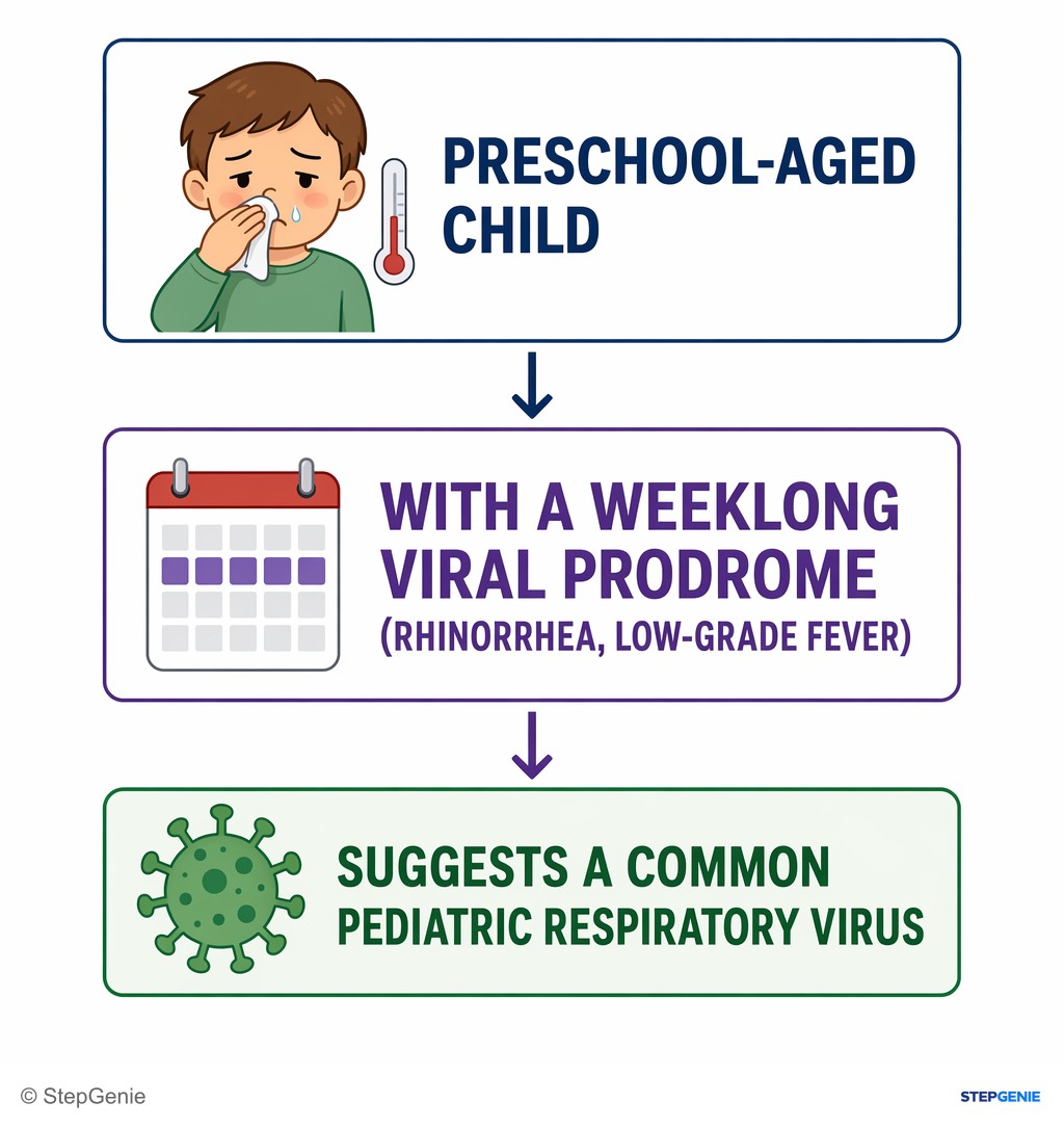 Reasoning step 1: Preschool-aged child with a weeklong viral prodrome (rhinorrhea, low-grade fever) suggests a common pediatric respiratory virus.