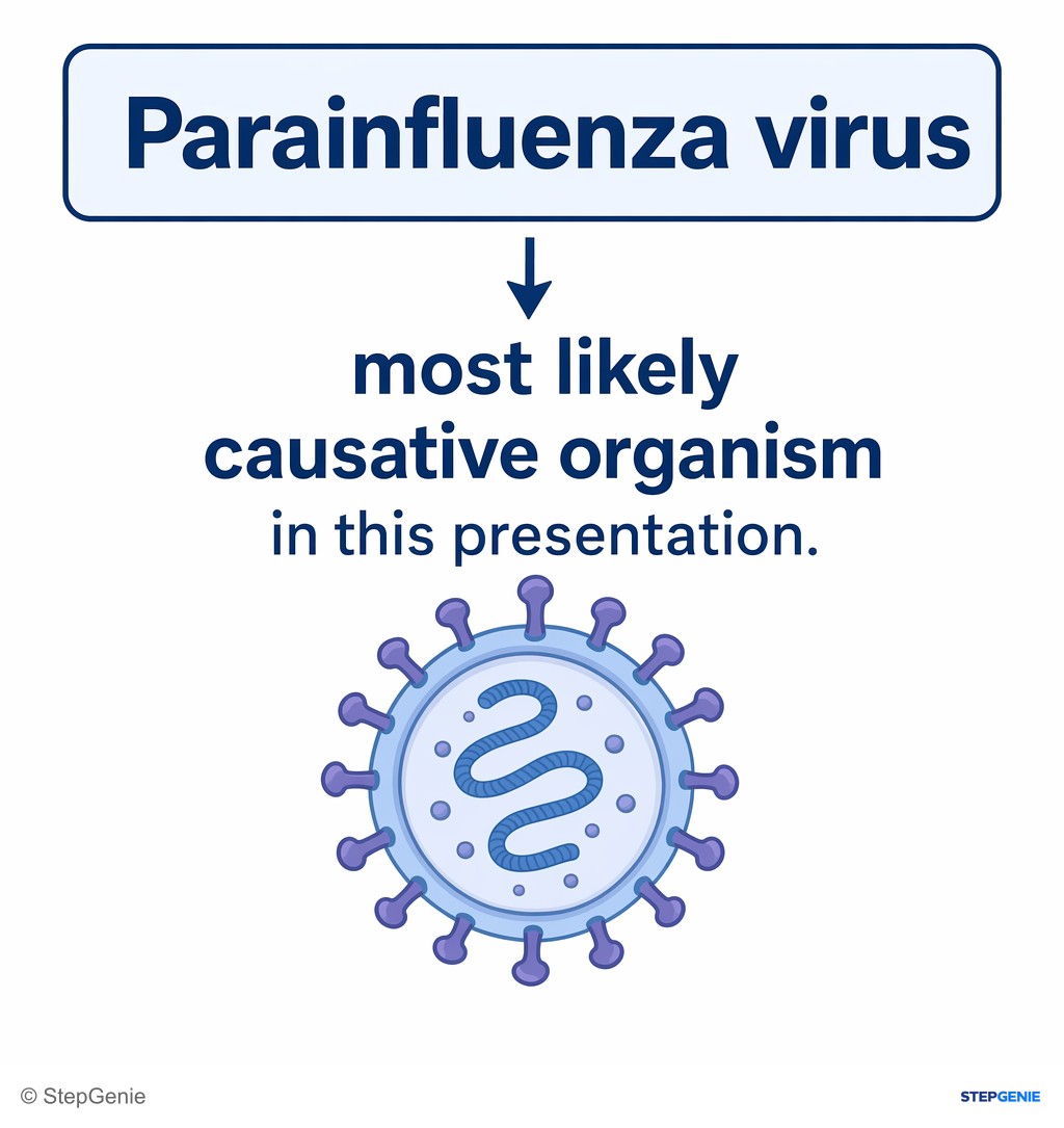 Reasoning step 5: Therefore, parainfluenza virus is the most likely causative organism in this presentation.