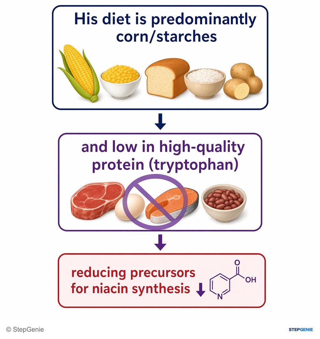 Reasoning step 3: His diet is predominantly corn/starches and low in high-quality protein (tryptophan), reducing precursors for niacin synthesis.