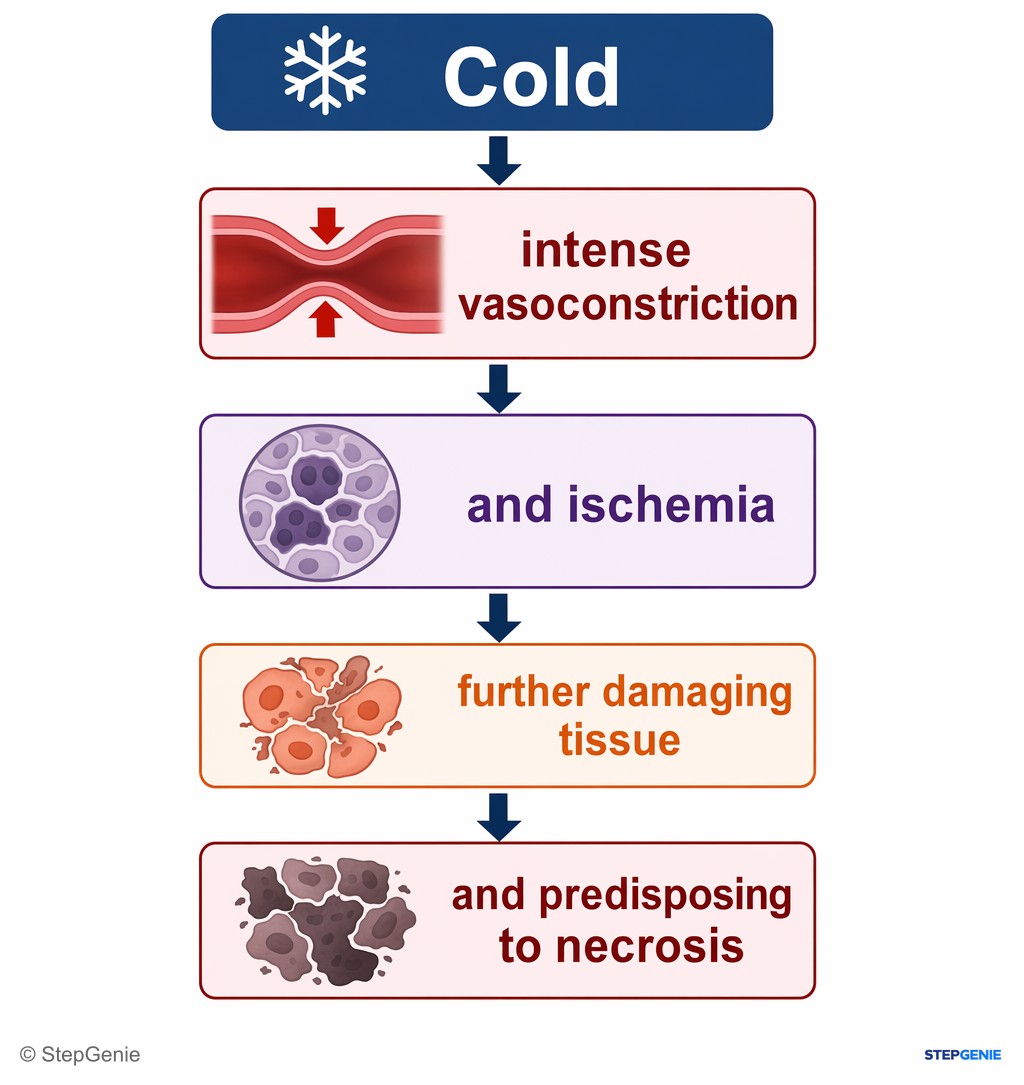 Reasoning step 3: Cold causes intense vasoconstriction and ischemia, further damaging tissue and predisposing to necrosis.