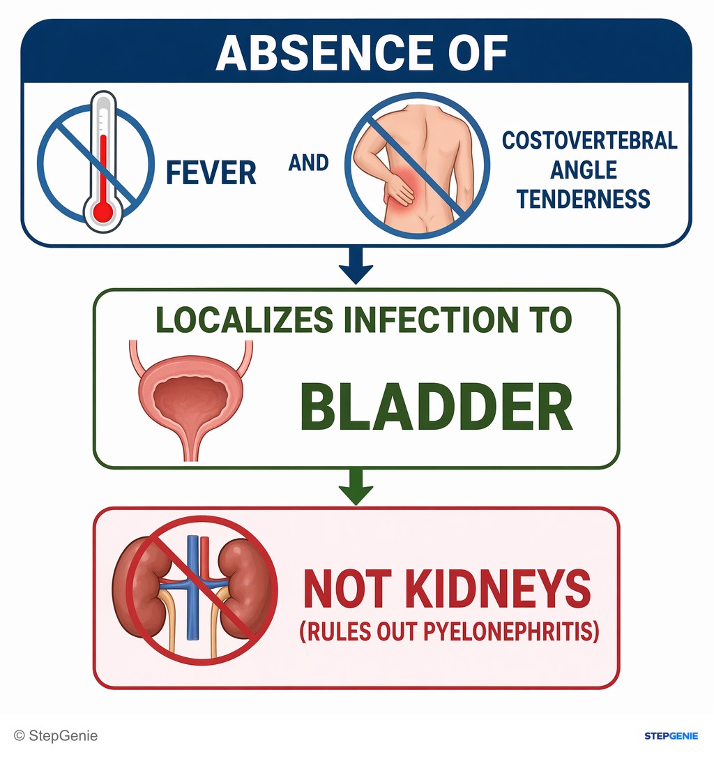 Reasoning step 2: Absence of fever and costovertebral angle tenderness localizes infection to the bladder, not kidneys (rules out pyelonephritis).