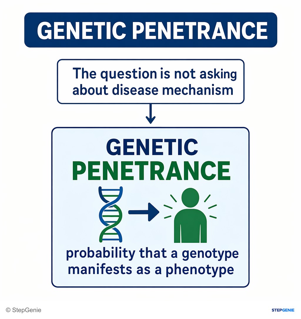 Reasoning step 2: The question is not asking about disease mechanism but about genetic penetrance: probability that a genotype manifests as a phenotype.