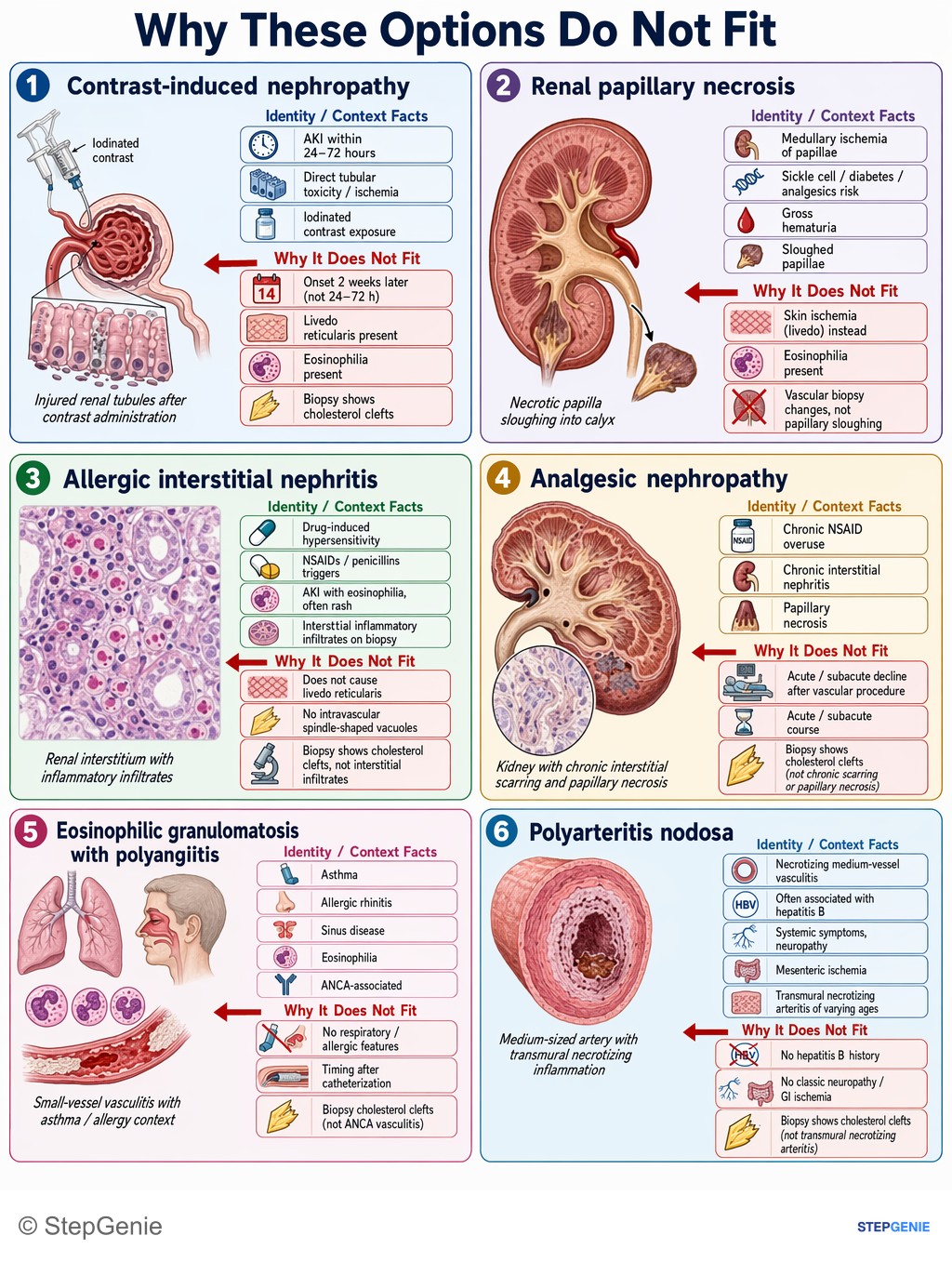 Why the other options are wrong: Cholesterol atheroembolism after vascular procedure → acute kidney injury, livedo reticularis, eosinophilia, ↑ESR; biopsy shows…
