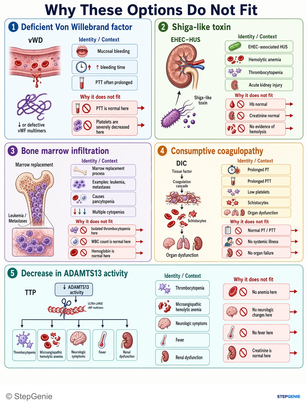 Why the other options are wrong: Immune thrombocytopenic purpura (ITP): autoimmune IgG against platelets → isolated thrombocytopenia with mucocutaneous bleeding…