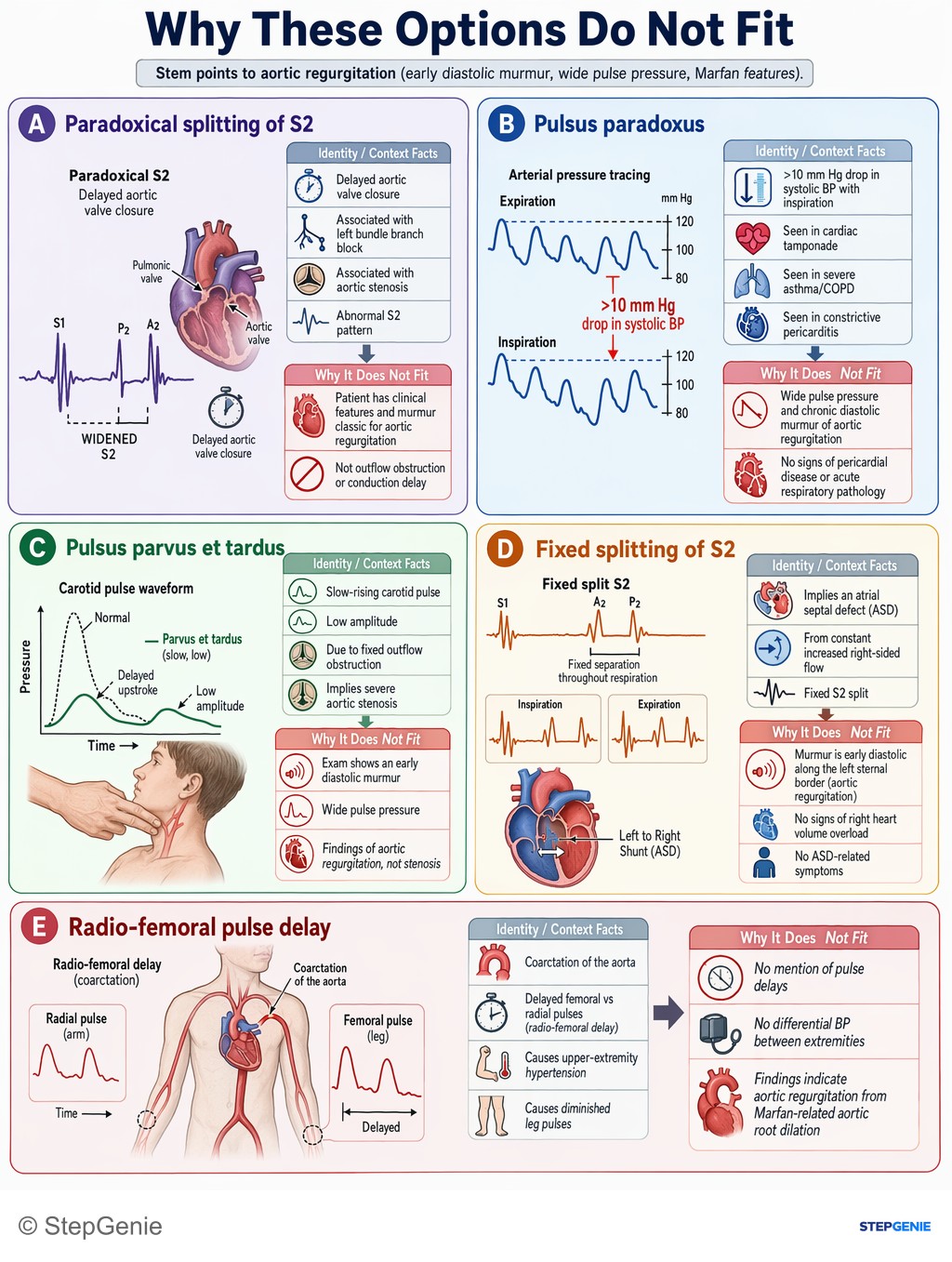 Why the other options are wrong: Marfan syndrome causing aortic root dilation → aortic regurgitation with wide pulse pressure and water hammer pulse (bounding,…