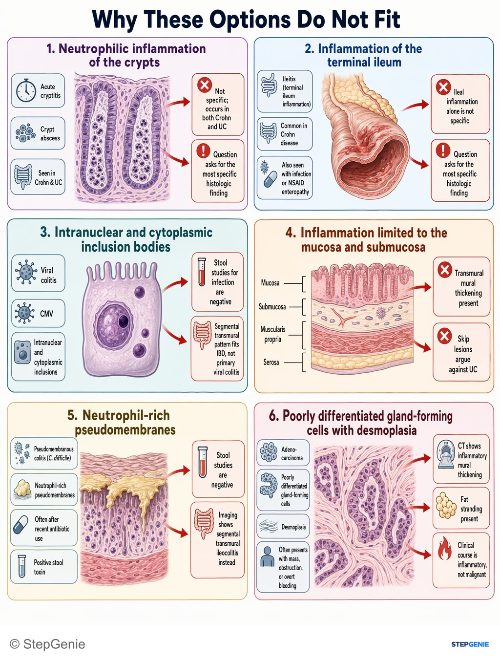 Why the other options are wrong: Crohn disease: transmural, skip lesions (terminal ileum/colon) with non-caseating granulomas—most specific histologic feature.