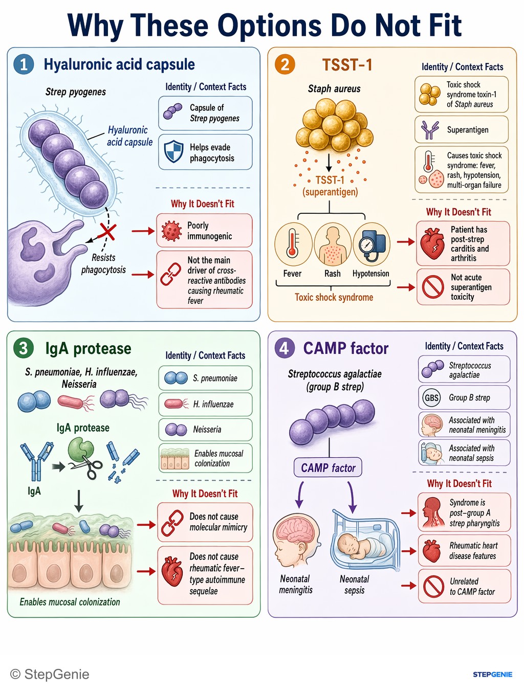 Why the other options are wrong: Acute rheumatic fever from group A strep: anti–M protein antibodies cross-react with heart, joints, skin (type II…