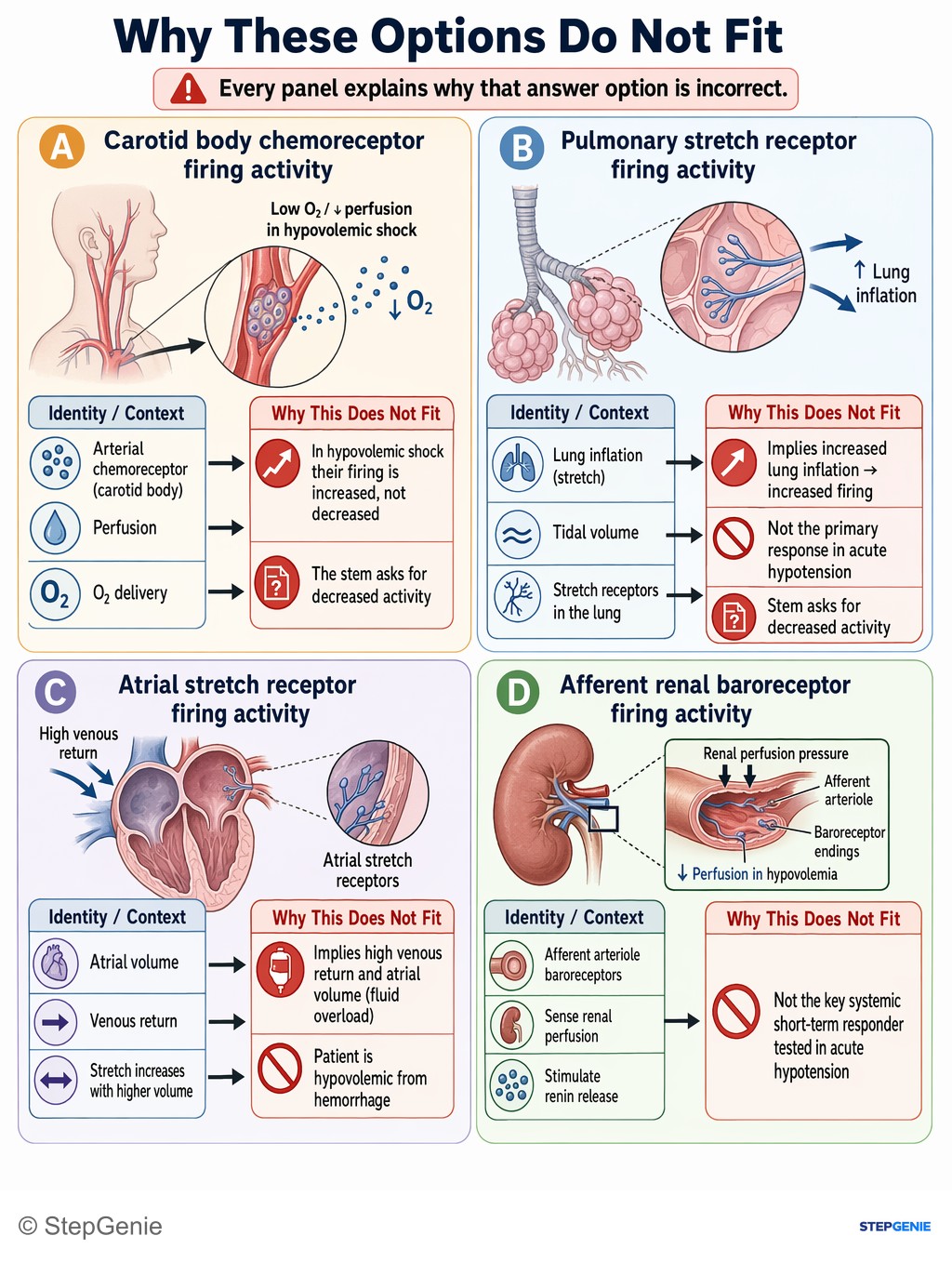Why the other options are wrong: Acute hypovolemic shock from upper GI bleed → low MAP → decreased carotid baroreceptor firing → sympathetic activation and…
