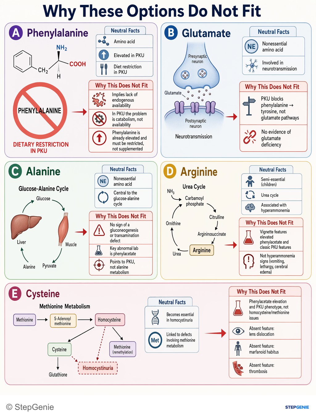 Why the other options are wrong: Phenylketonuria (PKU) from phenylalanine hydroxylase deficiency makes tyrosine a nutritionally essential amino acid despite…