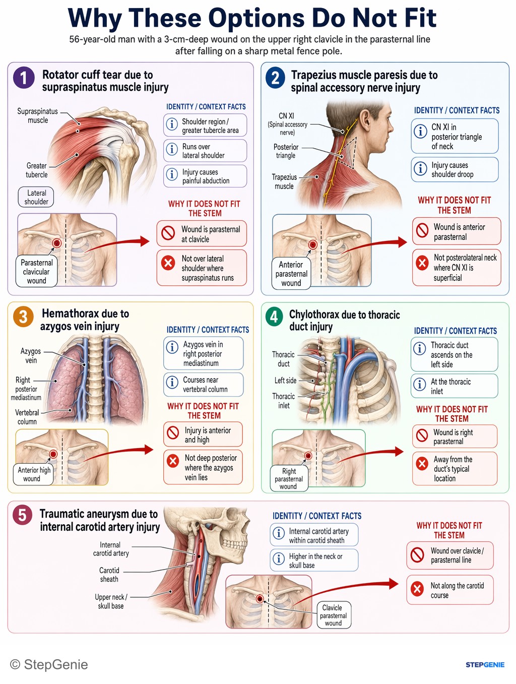 Why the other options are wrong: Pneumothorax from parietal pleura puncture: penetrating trauma just above clavicle/1st rib can enter lung apex and cause…