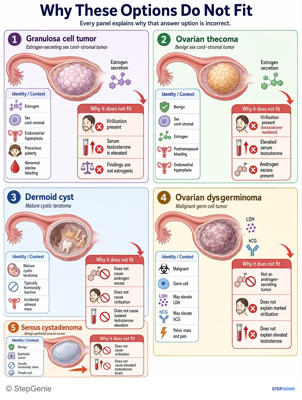 Why the other options are wrong: Sertoli-Leydig cell tumor is an ovarian sex cord–stromal tumor that secretes testosterone, causing virilization (hirsutism,…