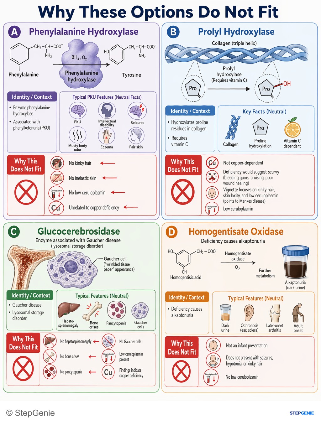 Why the other options are wrong: Menkes disease: X-linked ATP7A defect → impaired copper transport → ↓ lysyl oxidase activity → defective collagen cross-linking,…