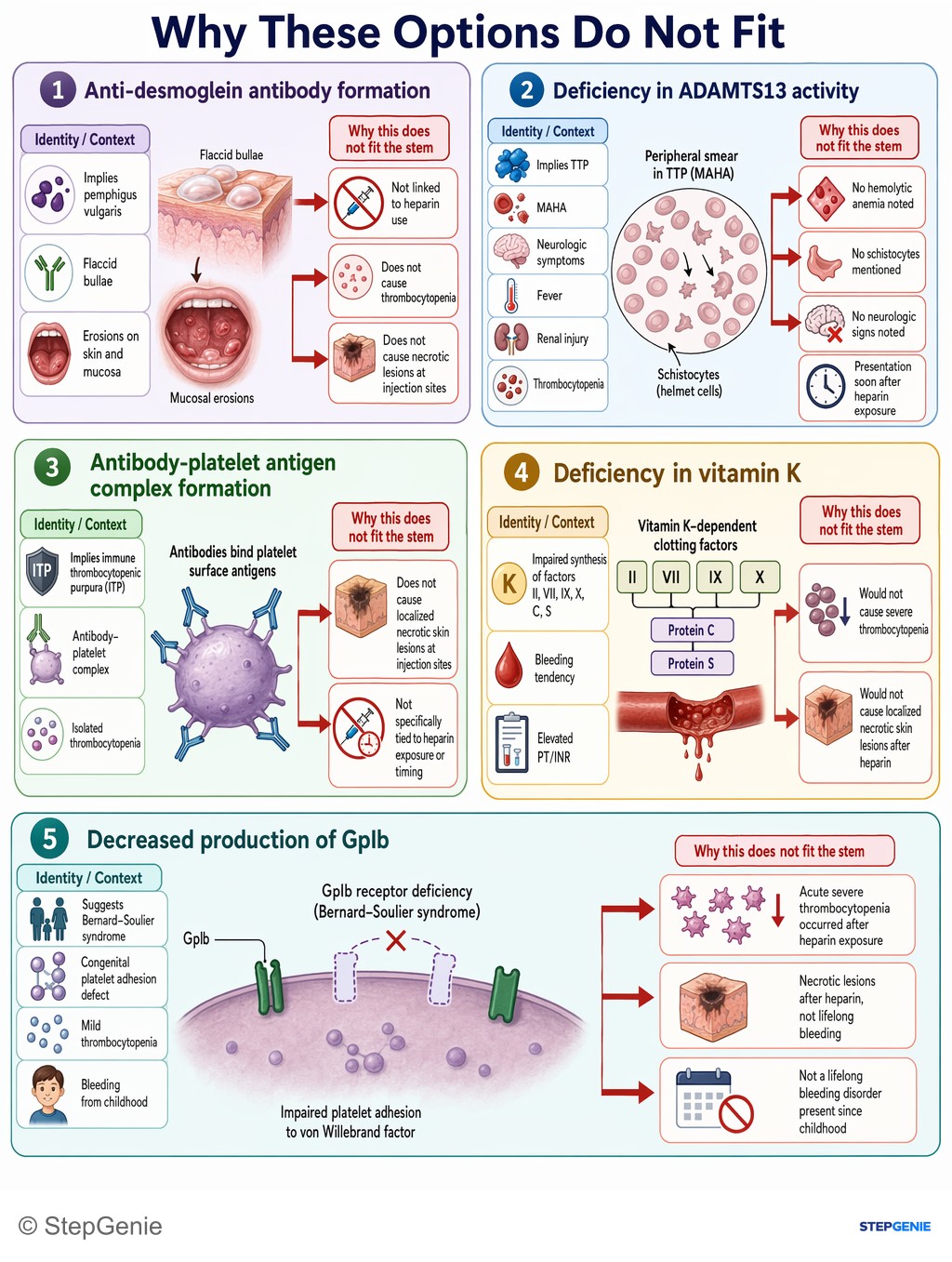 Why the other options are wrong: Heparin-induced thrombocytopenia (HIT): anti–heparin-PF4 IgG → platelet activation → thrombosis, thrombocytopenia, and skin…