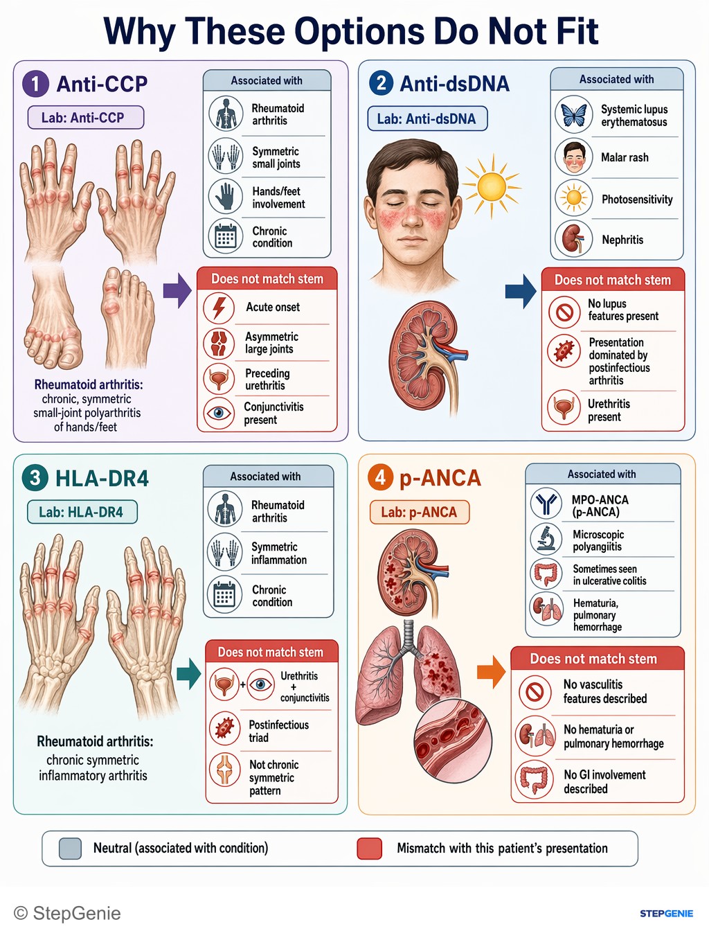 Why the other options are wrong: Reactive arthritis (post-urethritis triad: arthritis, conjunctivitis, urethritis) is strongly associated with HLA-B27 positivity.