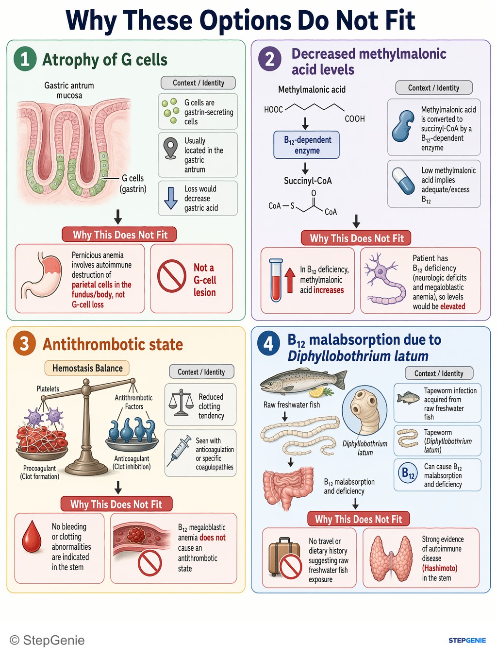 Why the other options are wrong: Pernicious anemia from autoimmune destruction of parietal cells → loss of intrinsic factor → B12 deficiency with neurologic…