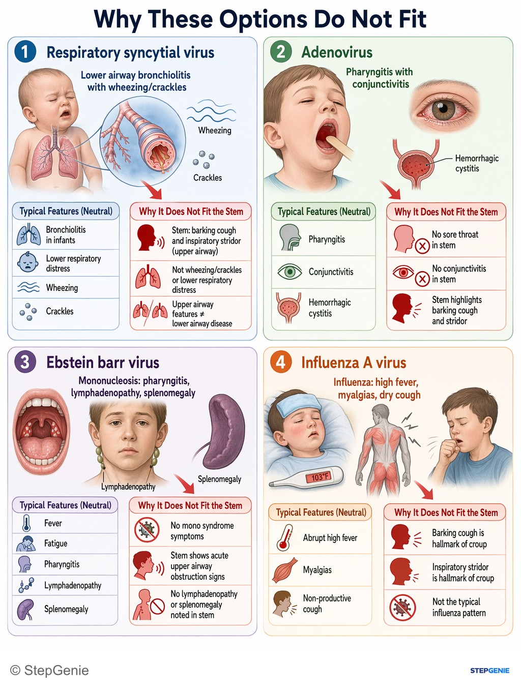 Why the other options are wrong: Croup (laryngotracheobronchitis) from parainfluenza virus causes barking cough, inspiratory stridor, and low-grade fever in…