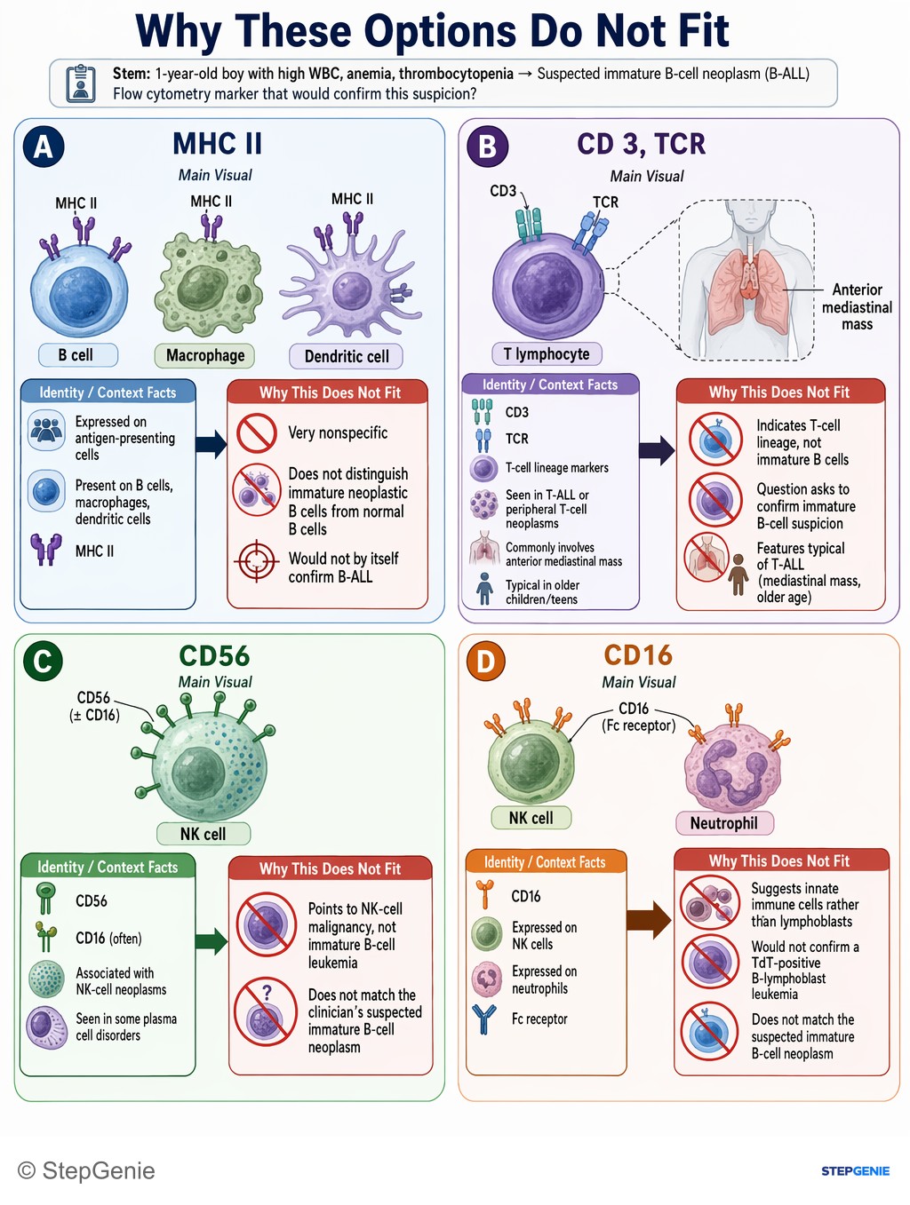 Why the other options are wrong: B-cell acute lymphoblastic leukemia (ALL) in a young child shows TdT-positive, CD19-positive immature B cells causing anemia,…
