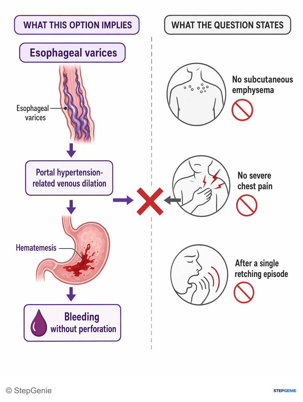 Why not Esophageal varices: This option implies portal hypertension-related venous dilation causing hematemesis, BUT varices cause bleeding without perforation—they…